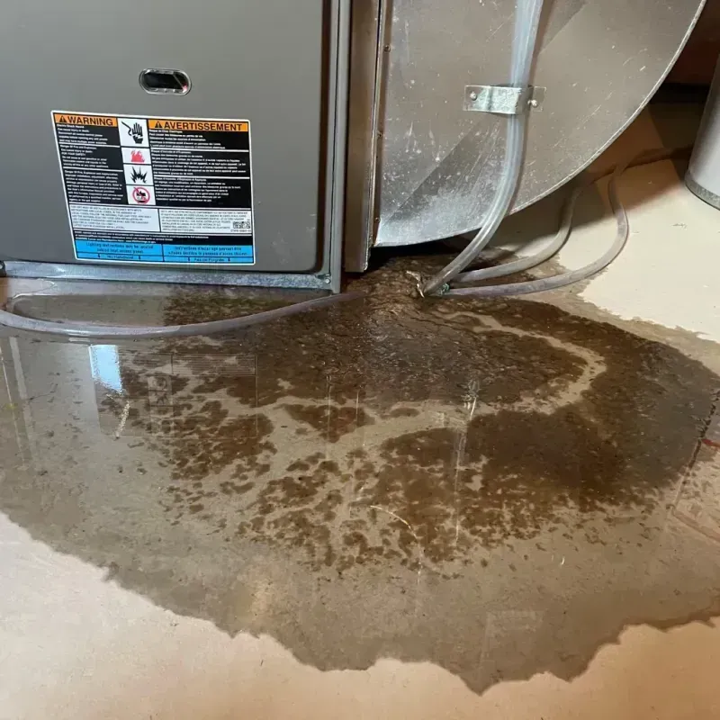 Appliance Leak Cleanup in North Syracuse, NY